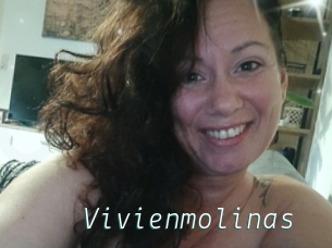 Vivienmolinas