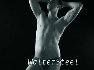 WalterSteel