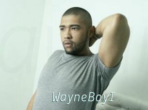 WayneBoyI