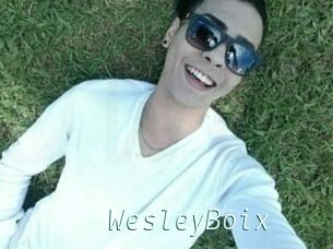 Wesley_Boix
