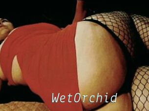WetOrchid