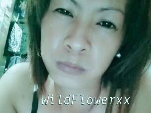 WildFlowerxx