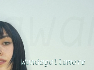 Wandagallamore