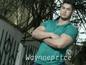 Waynneprice