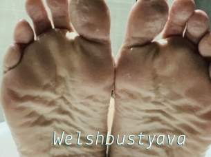 Welshbustyava