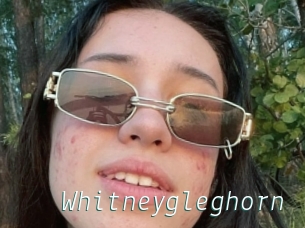 Whitneygleghorn