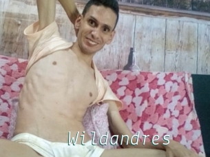 Wildandres