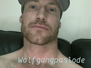 Wolfgangpaslode