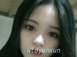 Wtdyanxun