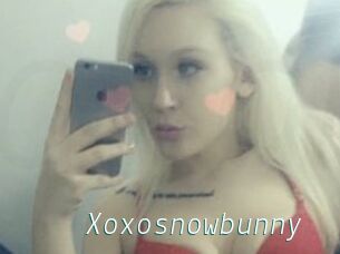 Xoxosnowbunny