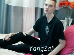 YangZak