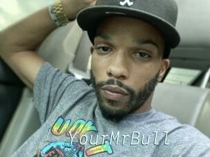 YourMrBull