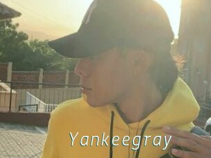 Yankeegray