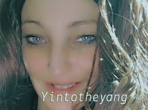 Yintotheyang