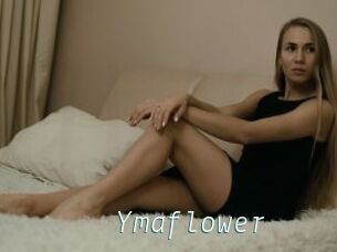 Ymaflower
