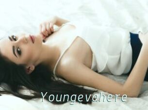 Youngevahere