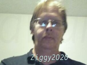 Ziggy2020