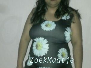 ZoekMaatje
