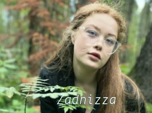 Zadnizza
