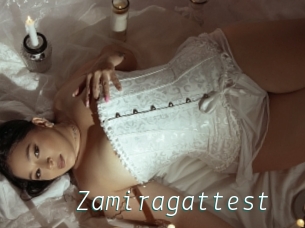 Zamiragattest