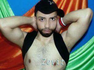 Zevit
