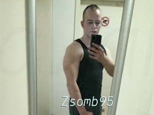 Zsomb95